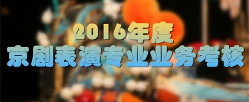 www.17c.com黄色国家京剧院2016年度京剧表演专业业务考...